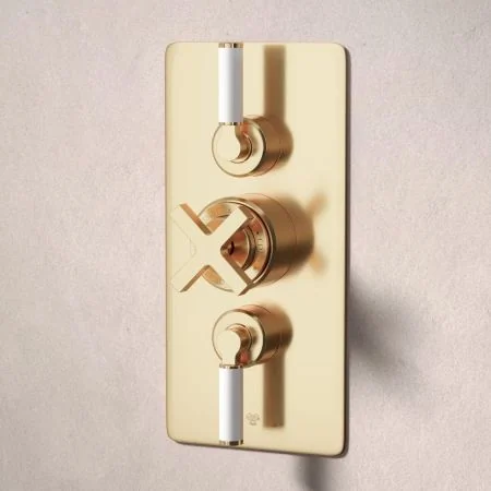 Bayor Dual Outlet Concealed Shower with Handheld Shower Hook & 210mm Ceiling Arm with 8" Rose - White Lever - Living Brass