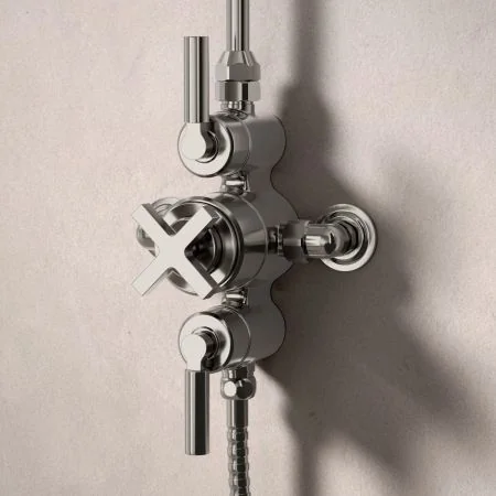 Bayor Dual Outlet Exposed Shower with Handheld Shower Hook & 8" Rose - Metal Lever