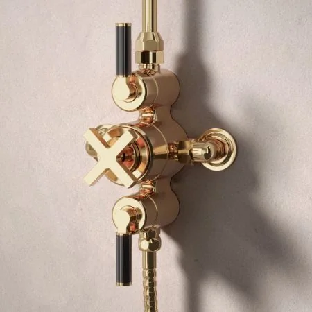 Bayor Dual Outlet Exposed Shower with Handheld Shower Hook & 8" Rose - Black Lever - Living Brass