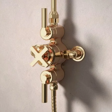 Bayor Dual Outlet Exposed Shower with Handheld Shower Hook & 8" Rose - Metal Lever - Living Brass