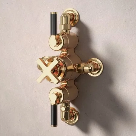Bayor Dual Outlet Semi Exposed Shower with Handheld Shower Hook & 210mm Ceiling Arm with 8" Rose - Black Lever - Living Brass