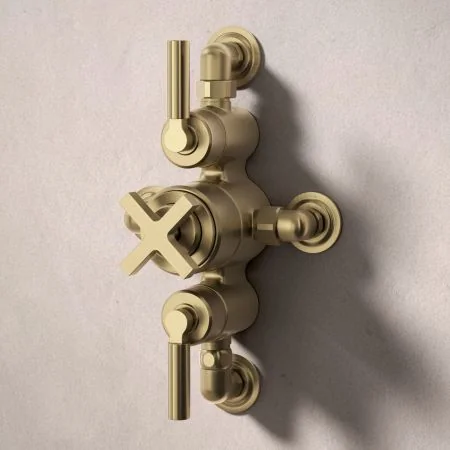 Bayor Dual Outlet Semi Exposed Shower with Handheld Shower Hook & 210mm Ceiling Arm with 8" Rose - Metal Lever - Brushed Brass
