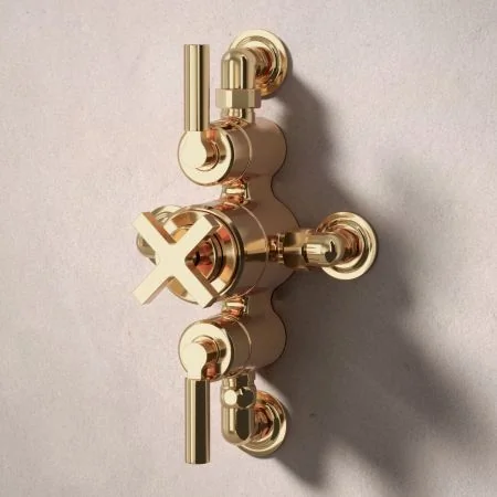 Bayor Dual Outlet Semi Exposed Shower with Handheld Shower Hook & 210mm Ceiling Arm with 8" Rose - Metal Lever - Living Brass