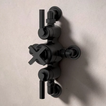 Bayor Dual Outlet Semi Exposed Shower with Handheld Shower Hook & 210mm Ceiling Arm with 8" Rose - Metal Lever - Matt Black