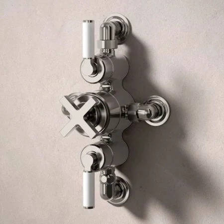 Bayor Dual Outlet Semi Exposed Shower with Handheld Shower Hook & 210mm Ceiling Arm with 8" Rose - White Lever - Brushed Nickel