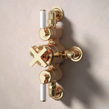 Bayor Dual Outlet Semi Exposed Shower with Slider Rail & 300mm Wall Arm with 8" Rose - White Lever - Living Brass