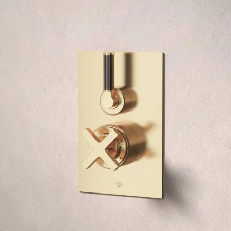 Bayor Single Outler Concealed Shower with 210mm Ceiling Arm & 8" Rose - Black Lever - Living Brass