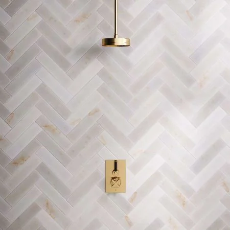 Bayor Single Outlet Concealed Shower with 210mm Ceiling Arm, 8" Rose & Black Levers in Brushed Brass