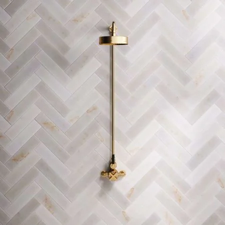 Bayor Single Outlet Exposed Shower with 8" Rose & Black Levers in Brushed Brass
