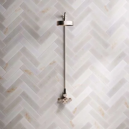 Bayor Single Outlet Exposed Shower with 8" Rose & Black Levers in Brushed Nickel