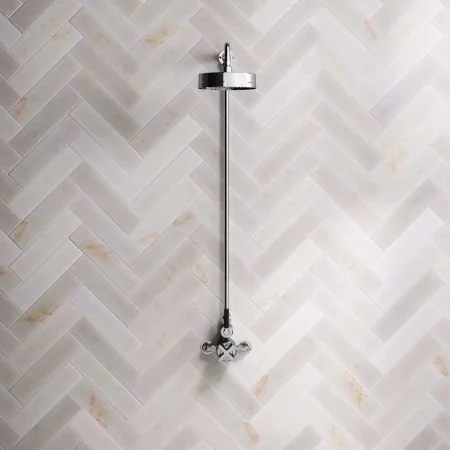 Bayor Single Outlet Exposed Shower with 8" Rose & Black Levers in Chrome
