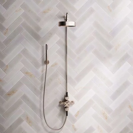 Bayor Dual Outlet Exposed Shower with Handshower Hook, 8" Rose & Black Levers in Brushed Nickel