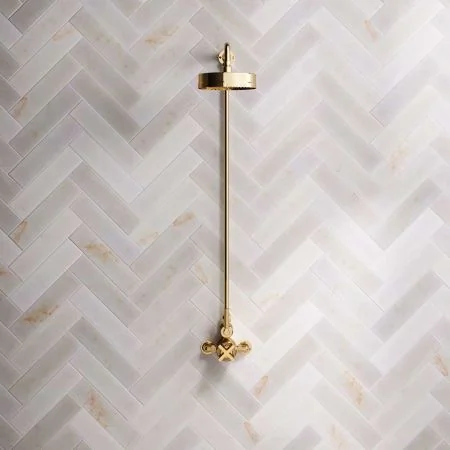 Bayor Single Outlet Exposed Shower with 8" Rose & Metal Levers in Living Brass