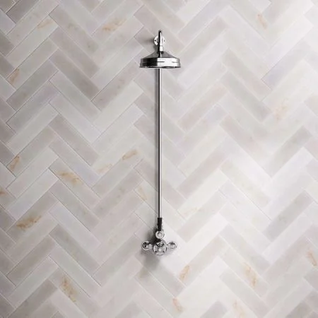 Linton Single Outlet Exposed Shower with 8" Rose & Black Levers in Chrome