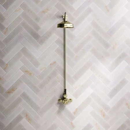 Linton Single Outlet Exposed Shower with 8" Rose & Black Levers in Timeless Brass
