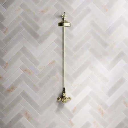 Linton Single Outlet Exposed Shower with 6" Rose & Black Levers in Timeless Brass