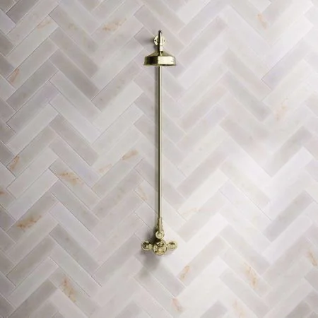 Linton Single Outlet Exposed Shower with 6" Rose & Metal Levers in Timeless Brass