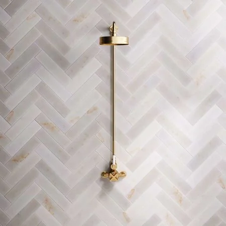 Bayor Single Outlet Exposed Shower with 8" Rose & White Levers in Brushed Brass