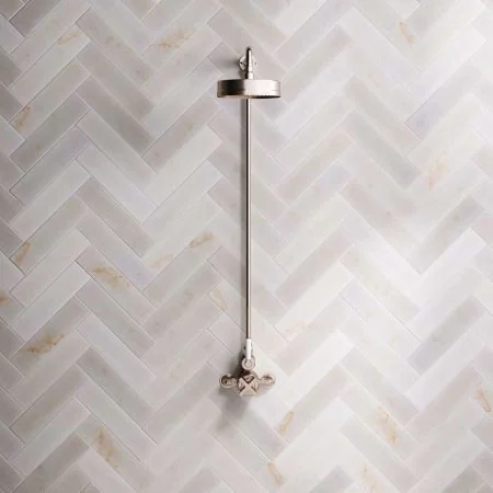 Bayor Single Outlet Exposed Shower with 8" Rose & White Levers in Brushed Nickel