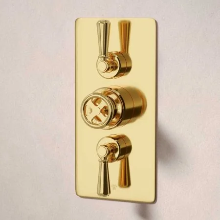 Klee Dual Outlet Concealed Shower with Slider Rail, 300mm Wall Arm & 8" Rose - Metal Lever - Living Brass