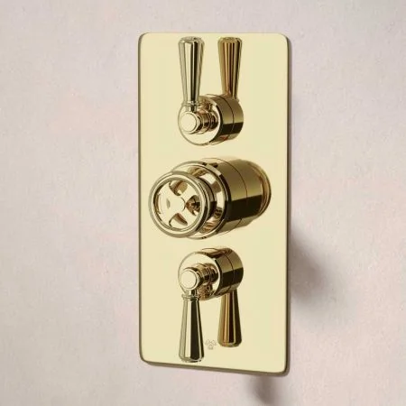 Klee Dual Outlet Concealed Shower with Slider Rail, 300mm Wall Arm & 8" Rose - Metal Lever - Timeless Brass