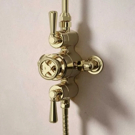 Klee Dual Outlet Exposed Shower with Rigid Riser, Hook Mount & 8" Rose - Metal Lever - Timeless Brass