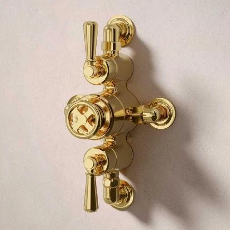 Klee Dual Outlet Semi Exposed Shower with Hook Mount, 300mm Wall Arm & 8" Rose - Metal Lever - Living Brass