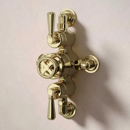 Klee Dual Outlet Semi Exposed Shower with Slider Rail, 300mm Wall Arm & 8" Rose - Metal Lever - Timeless Brass