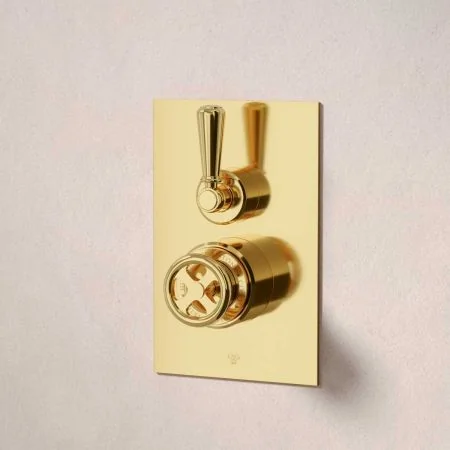 Klee Single Outlet Concealed Shower with 500mm Wall Arm & 8" Rose - Metal Lever - Living Brass