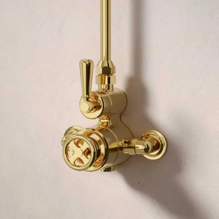 Klee Single Outlet Exposed Shower with 8" Rose - Metal Lever - Living Brass