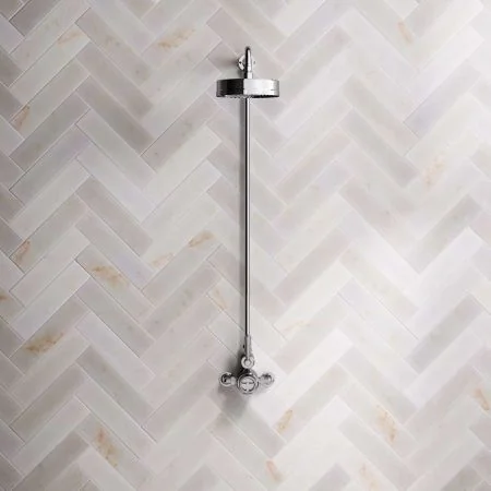 Klee Single Outlet Exposed Shower with 8" Rose - Metal Lever