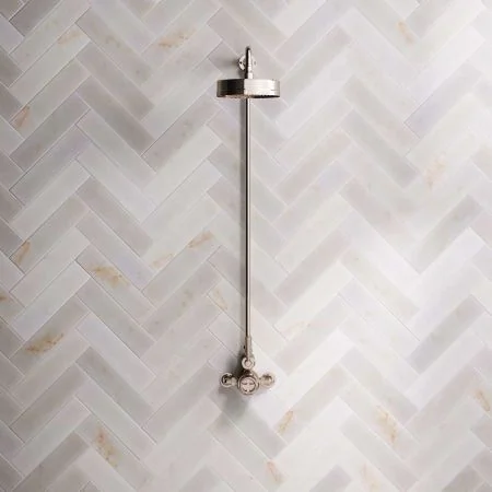 Klee Single Outlet Exposed Shower with 8" Rose - Metal Lever - Polished Nickel