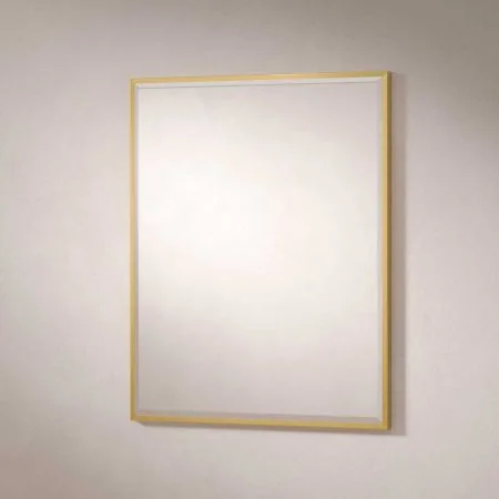 Traditional Fixed 24" x 30" Rectangular Mirror - Living Brass