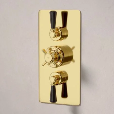Linton Dual Outlet Shower Kit - Concealed Valve - 6 inch Rose - Black Ceramic Lever - Handheld Shower Hook - Ceiling Mounted Rose - Living Brass