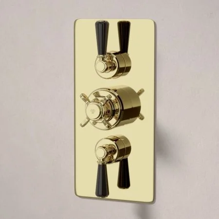 Linton Dual Outlet Shower Kit - Concealed Valve - 6 inch Rose - Black Ceramic Lever - Handheld Shower Hook - Timeless Brass