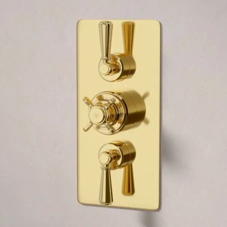 Linton Dual Outlet Shower Kit - Concealed Valve - 6 inch Rose - Metal Lever - Handheld Shower Hook - Ceiling Mounted Rose - Living Brass