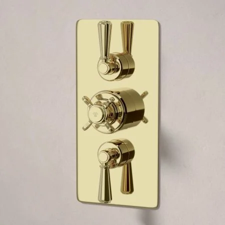 Linton Dual Outlet Shower Kit - Concealed Valve - 8 inch Rose - 500mm Shower Arm - Metal Lever - Handheld Shower Hook - Timeless Brass