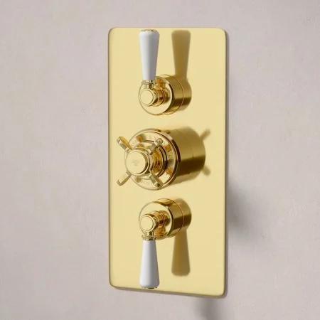 Linton Dual Outlet Shower Kit - Concealed Valve - 8 inch Rose - White Ceramic Lever - Handheld Shower Hook - Living Brass