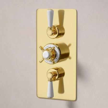 Linton Dual Outlet Shower Kit - Concealed Valve - 6 inch Rose - White Ceramic Lever - Handheld Shower Hook - Ceiling Mounted Rose - Living Brass