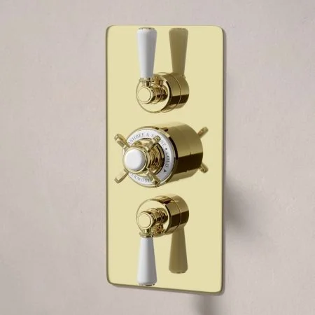 Linton Dual Outlet Shower Kit - Concealed Valve - 6 inch Rose - White Ceramic Lever - Handheld Shower Hook - Ceiling Mounted Rose - Timeless Brass