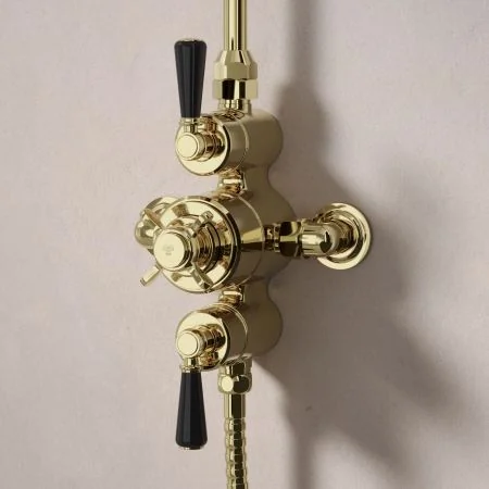 Linton Dual Outlet Exposed Shower Valve with Rigid Riser, Handset on Hook and 6 Inch Rose - Black Lever - Timeless Brass