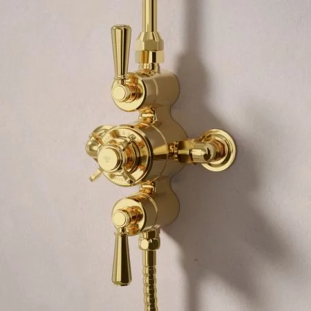 Linton Dual Outlet Exposed Shower Valve with Rigid Riser, Handset on Hook and 6 Inch Rose - Metal Lever - Living Brass
