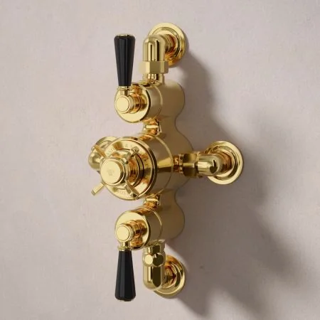 Linton Dual Outlet Shower Kit - Semi-Exposed Valve - 6 inch Rose - Black Ceramic Lever - Handheld Shower Hook - Ceiling Mounted Rose - Living Brass