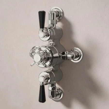 Linton Dual Outlet Semi Exposed Shower with Handheld Shower Hook - Black Lever