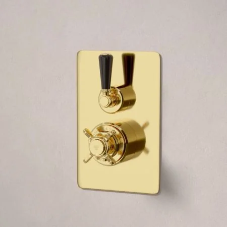 Linton Concealed Shower Valve, Shower Arm and 6 inch Ceiling Mounted Rose Living Brass Black Lever