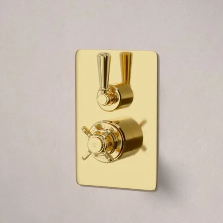 Linton Concealed Shower Valve, Shower Arm and 6 inch Ceiling Mounted Rose Living Brass Metal Lever