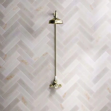 Linton Classic Single Outlet Exposed Shower with 8" Rose & White Levers in Timeless Brass