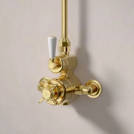 Linton Exposed Shower Valve with Rigid Riser and 6 Inch Rose - White Lever - Living Brass