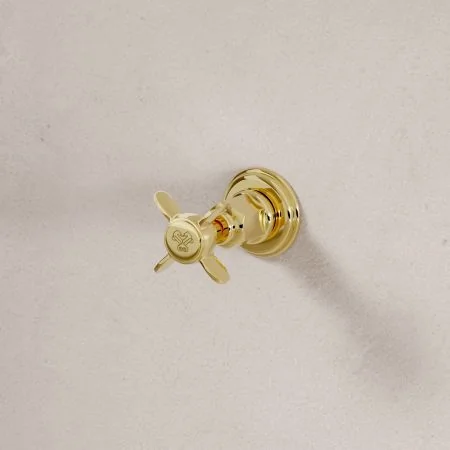 Linton 5-Hole - Wall Mounted - Bath Shower Mixer - X Top - Living Brass